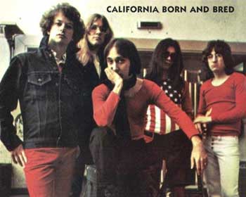 The Flamin' Groovies