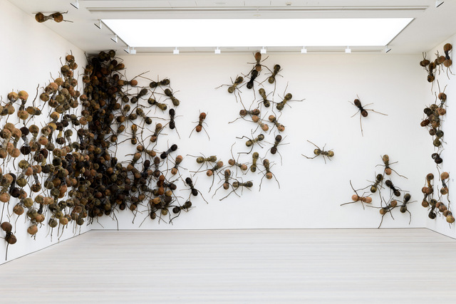 Pangaea-Installations-015